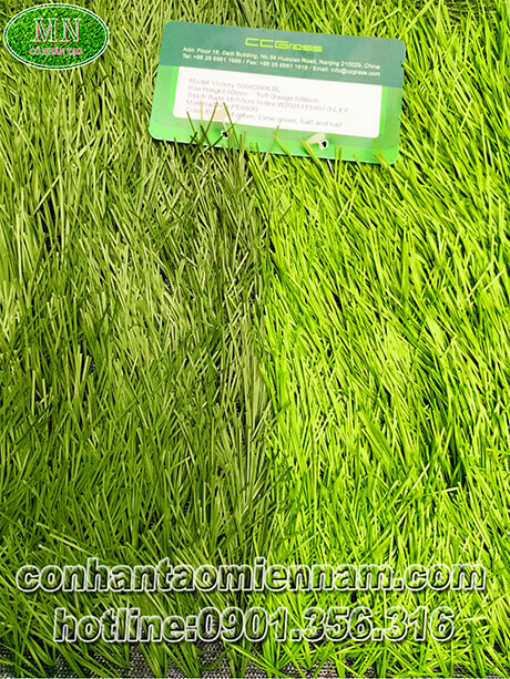 thảm cỏ nhân tạo sân bóng mã MBC01