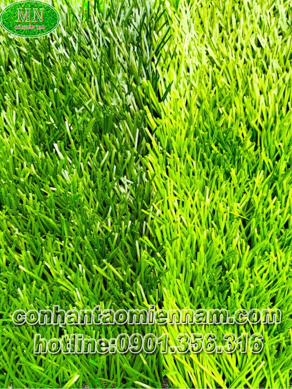Thảm cỏ nhân tạo sân bóng MBD03-130C