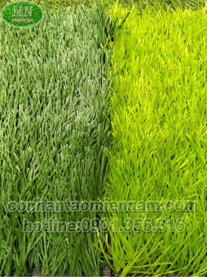 thảm cỏ nhân tạo sân bóng MBD02-125T