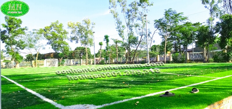 Sân bóng Đồng Tháp