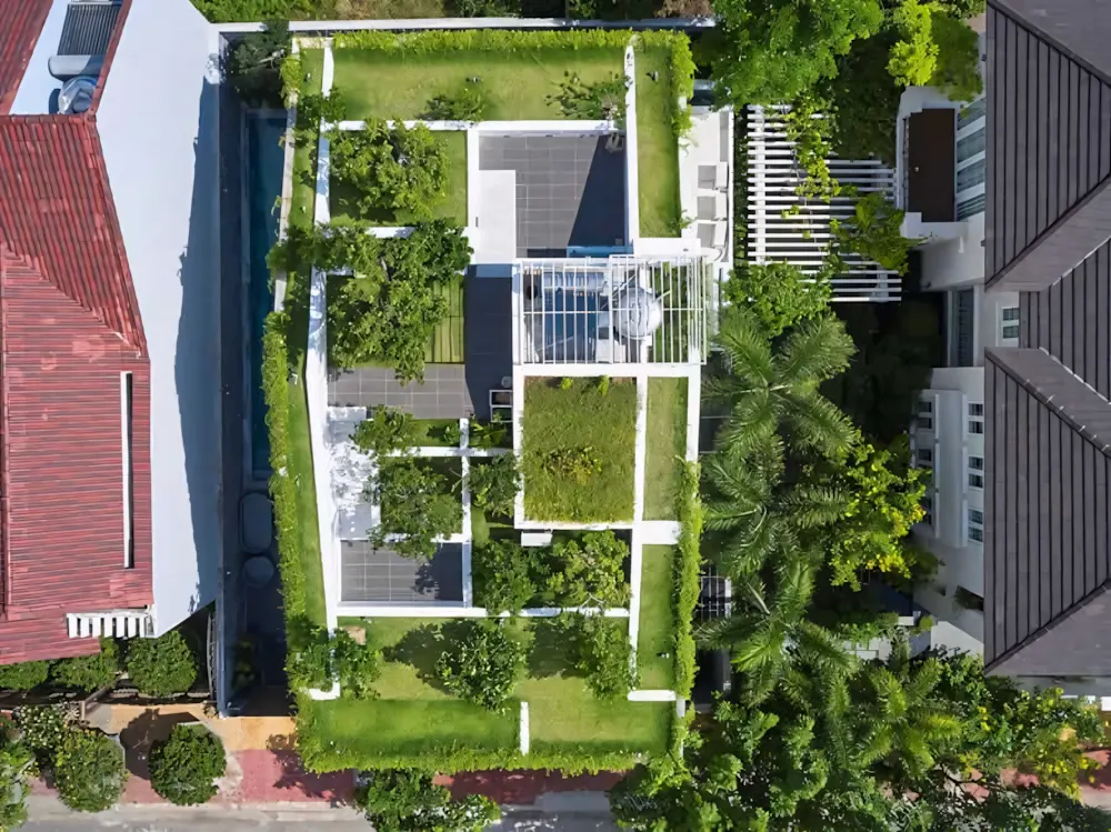 Các tiêu chí lựa chọn cây trồng sân thượng chịu nắng tốt