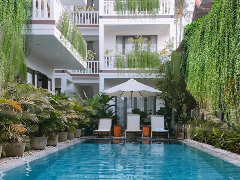 Cây cúc tần Ấn Độ