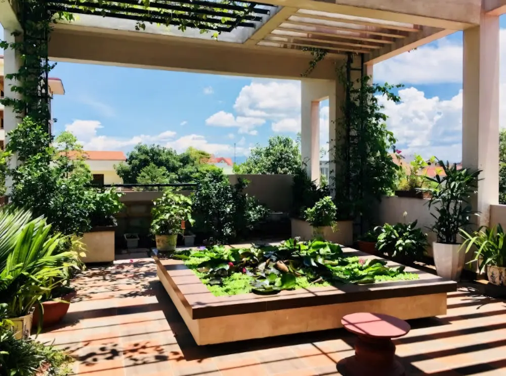 Top 20+ Cây Trồng Sân Thượng Chịu Nắng (Ít Cần Chăm)