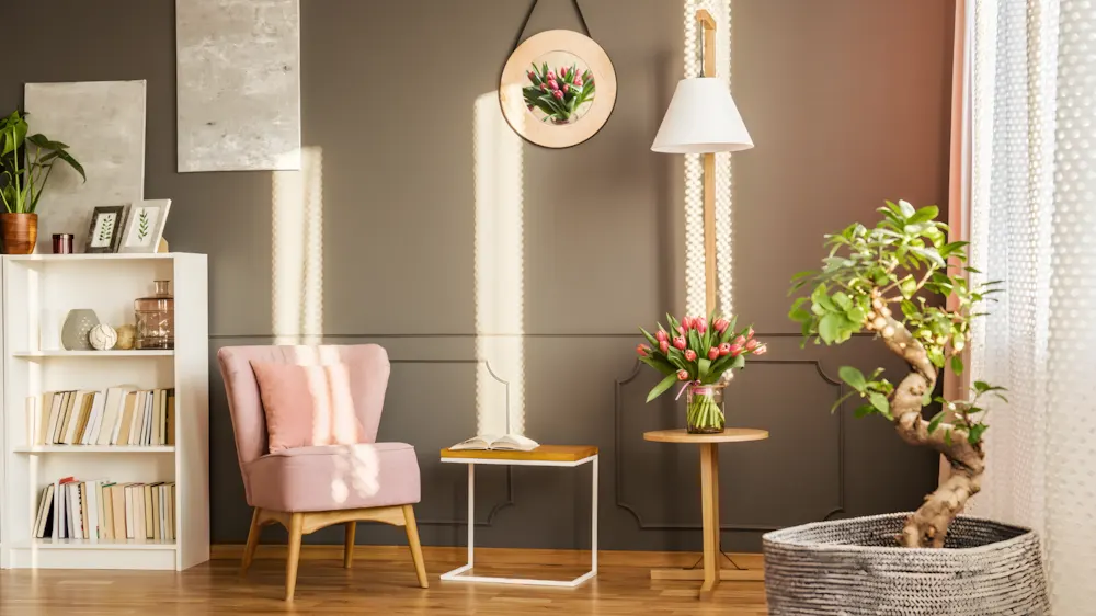 Góc đọc sách và thiền định