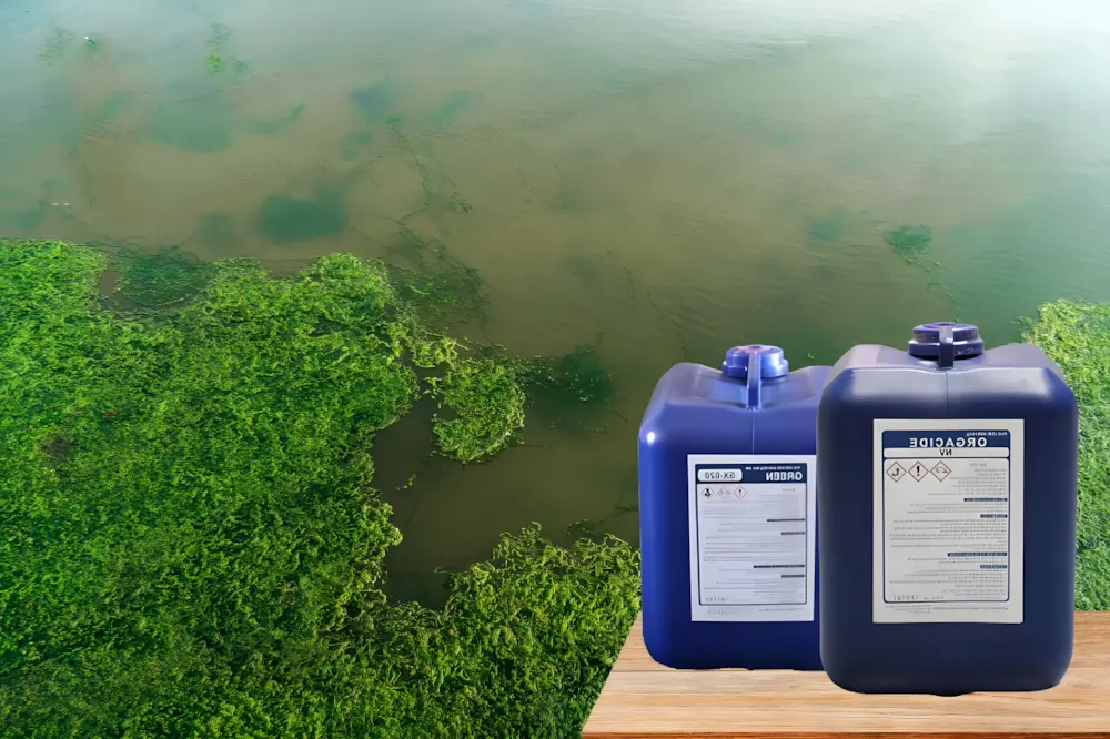 Hóa chất chuyên dụng tẩy rêu