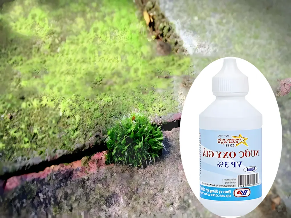 Tận dụng oxy già